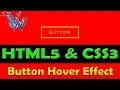Button hover effect css animation Learn html and css By Amazing Techno Tutorials