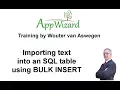 AppWizard - Importing a text file into an SQL table using BULK INSERT