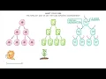 GCSE Biology - Cell Types and Cell Structure (2026/27 exams)