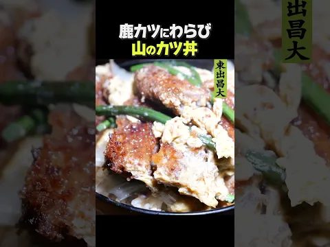 東出昌大 / 山のカツ丼