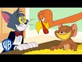 Download Lagu Tom \u0026 Jerry | Catch the Turkey! | @WB Kids