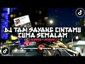 Download Lagu DJ TAPI SAYANG CINTAMU CUMA SEMALAM (EPAM ESTETOD) || VIRAL TIKTOK🎧