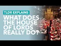 Download Lagu What Does the House of Lords Really Do? - TLDR Explains