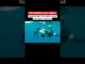 Scary after Captive Orca grabs trainer