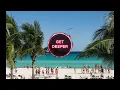Tim Deluxe feat. Sam Obernik - It Just Won't Do (Denis Bravo Remix)