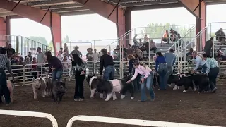 San Luis Valley Fair is underway through Aug 8 at the Ski Hi Complex in Monte Vista