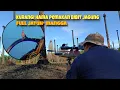 Download Lagu MINI FIGHTER MERESAHKAN LADANG TEKUKUR|| PENGENDALIAN HAMA PEMAKAN BIBIT JAGUNG DAN PADI