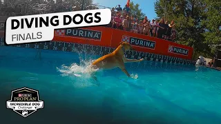Predict jump distances, vote on your favorite dogs, and play trivia while you watch the Dog Diving National Championship!