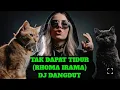 Lagu Tak Dapat Tidur – Rhoma Irama (DJ Dangdut Remix)