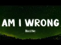 Download Lagu Am I Wrong - Nico and Vinz [Lyrics/Vietsub]