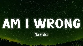 Am I Wrong - Nico and Vinz [Lyrics/Vietsub]