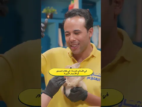 سر بقاء سحلية الصحراء في الحر الشديد 🦎 | علوم رابعة ابتدائي