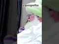 Lagu huzur Tajushariya Hazrat Allama Mufti akhtar Raza Khan Qadri Rahmatullah alayh