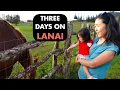 WHAT YOU NEED TO KNOW ABOUT LANAI ISLAND, Inter-island weekend Getaway, Hawaii Travel