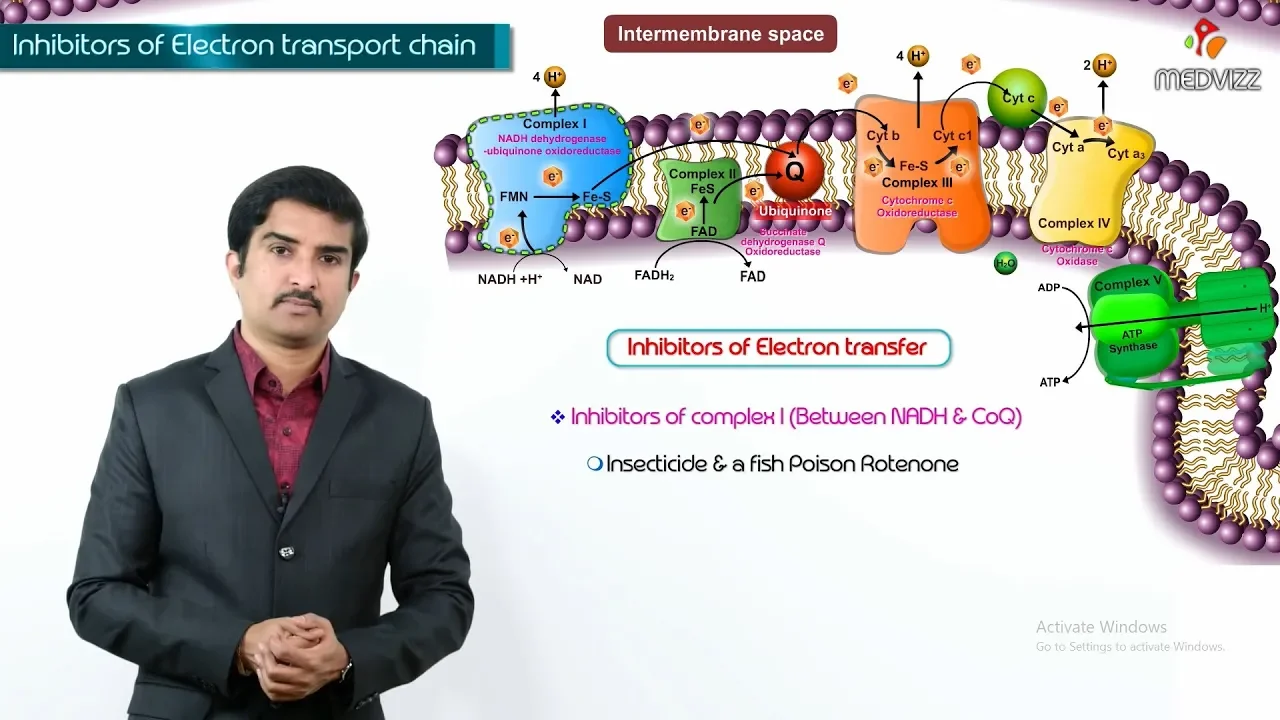Inhibitors of electron transport chain , oxidative phosphorylation , ionophores and uncouplers
