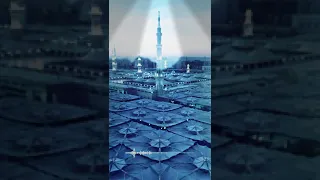 قصة وفاة رسول الله صل الله عليه وسلم للشيخ ثابت توفيق ابو عشرة 