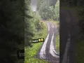 Download Lagu Rally Car FULL SEND!!!! All Gas No Brake!!!