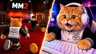منو يتحداني في mm2 😻ونبي نوصل 600K  مشترك 😻💪