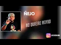Ñejo - No quiere novio (Aleex Sz Ft Lukiitaah DJ)