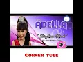 Download Lagu Bingkisan rindu || Tasya rosmala ft Gerry mahesa || OM.ADELLA !!!