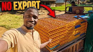 Exporting Eggs Sounds Profitable… Here's Why I Don't Do It