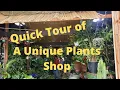 A quick tour of The Indoor Sun Shoppe