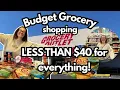 Vlog Discount Grocery Shopping BUDGET GROCERY HAUL United Grocery Outlet Food City Haul