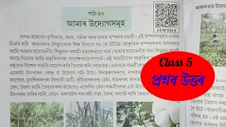 class 5 evs class 5 environment lesson 10 answer assam j4w8d4