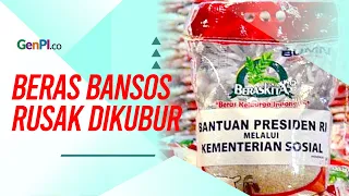 Soal Beras Bansos Dikubur di Depok, Mensos Risma Akhirnya Bicara