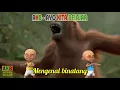 Download Lagu Mengenal Binatang Khas Indonesia untuk Anak, Bersama Upin Ipin, Lagu Anak Indonesia