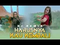 Lagu Harusnya Kau Kembali - Dj Salju | House [Official Music Video]