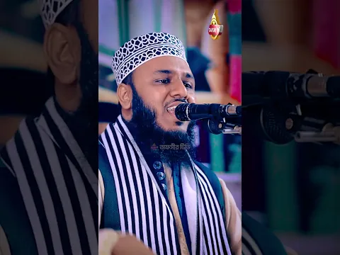 Anamul Hasan Bin nur