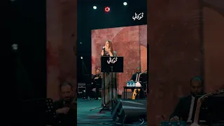 الف ليلة وليلة سيندي لطي في فوكالي 