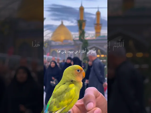 ⁣#ستوريات_انستا اللهم عجل لوليك الفرج قريب منك يا رب العالمين