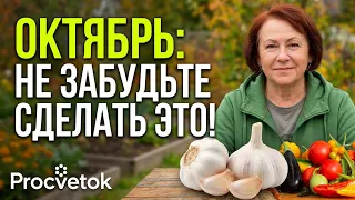 НЕ ЗАБУДЬТЕ СДЕЛАТЬ ЭТО В ОКТЯБРЕ! Чек-лист важных работ в саду, огороде и цветнике