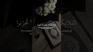 سورة فصلت بصوت اسلام صبحي 