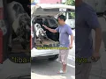 Download Lagu GAADA RECEH ADANYA KAMBING KURBAN..😱