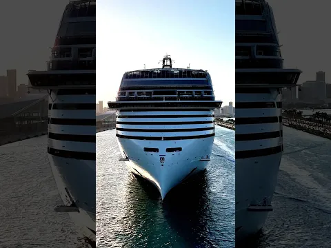 This New Cruise Ship Looks Massive Against the Miami Skyline! 🤯 #Shorts
