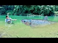 Download Lagu Traditional Fishing Skills Helped Me Pay Off My Debt, The Start Of My New Journey With A Giant Fish