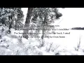 Wintersun - Loneliness (Winter) Official Lyric Video