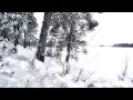 Download Lagu Wintersun - Loneliness (Winter) Official Lyric Video