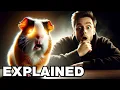 Can guinea pigs see in the dark