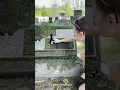 Cleaning the Wignalls headstone