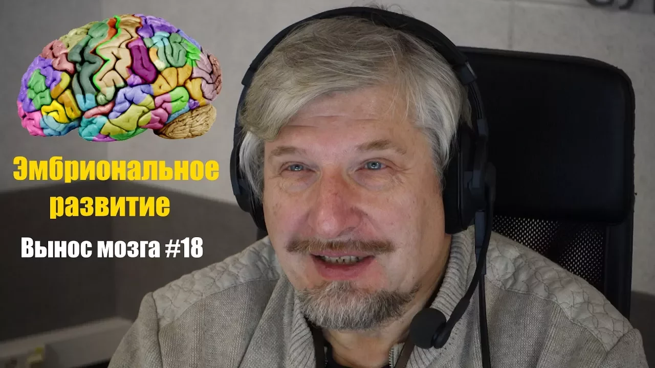 Эмбриональное развитие. Сергей Савельев (Вынос мозга #18)