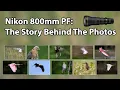 Nikon 800PF The Story Behind The Photos