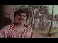 Download Lagu சோலை புஷ்பங்களே | Solai Pushpangale | Gangai Amaran, P. Susheela