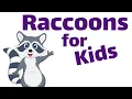 Download Lagu Raccoons for Kids | Homeschool Pop