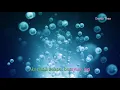 Download Lagu Ada Yang Tak Mampu Kulupa - Ebiet G Ade (Karaoke Minus One)