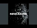 Lagu Niwache