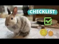 What You Need for a Rabbit Budget Tips